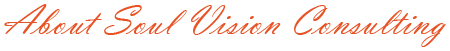 soul vision consulting